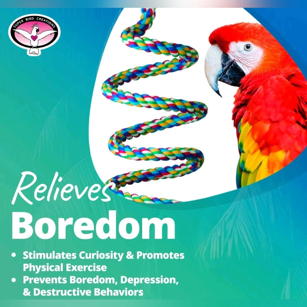 Super Bird Creations Multicolor Bird Perch